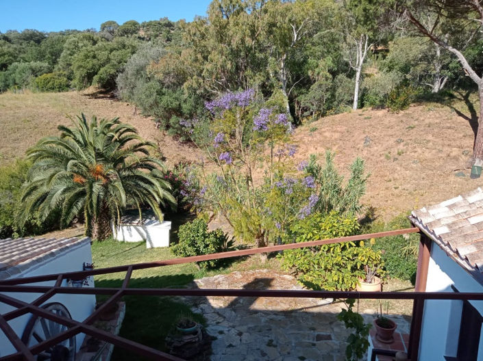 Image No.3-4 Bed Villa for sale