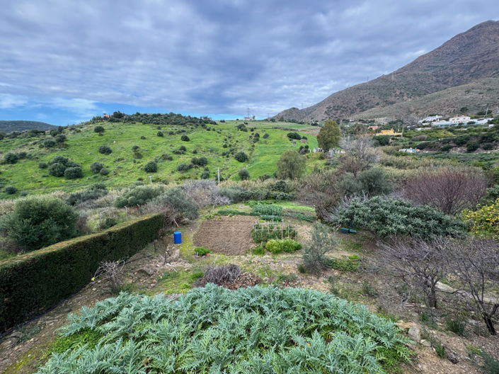 Image No.2-4 Bed Finca for sale