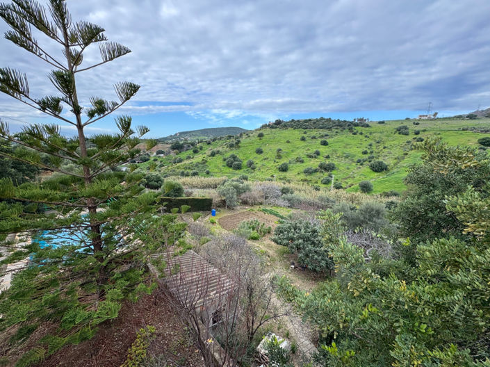 Image No.6-4 Bed Finca for sale