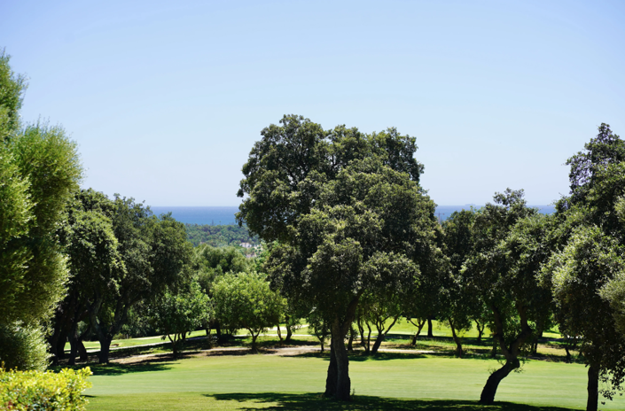 Image No.21-5 Bed Villa for sale