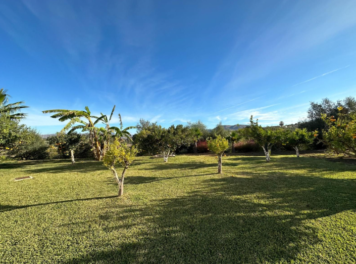 Image No.5-3 Bed Villa for sale