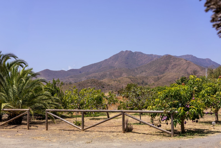 Image No.17-3 Bed Villa for sale