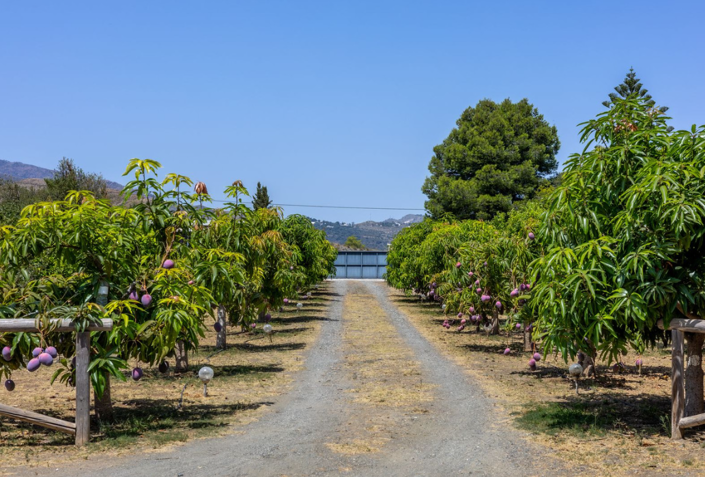 Image No.19-3 Bed Villa for sale