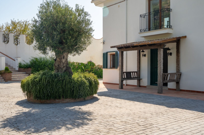 Image No.4-7 Bed Villa for sale