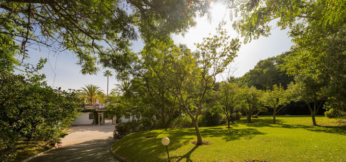 Image No.19-6 Bed Villa for sale