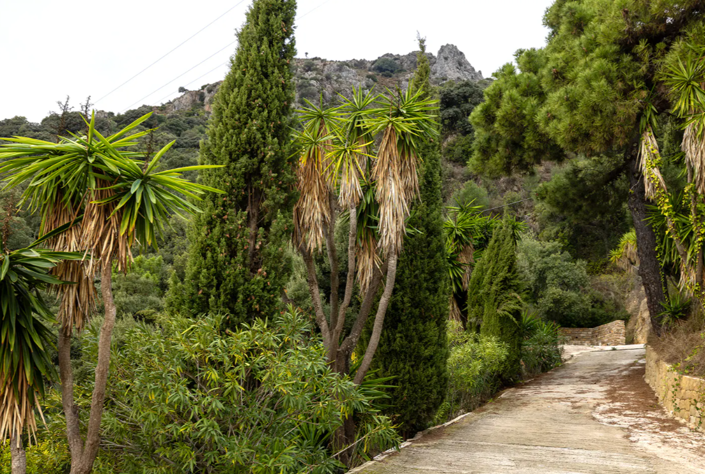 Image No.16-5 Bed Villa for sale