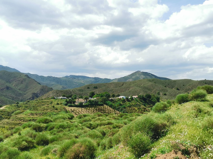 Image No.10-3 Bed Villa for sale