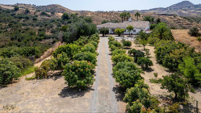 Image No.18-3 Bed Villa for sale