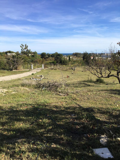 Image No.20-4 Bed Finca for sale