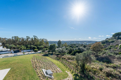 b98le8d7m9k3degpefzhs0lif8u4xzvzhwxtmggyekxx9