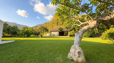 b98le8d7m9k3degpefzhs0lif8u4xzvzhwxtmggyekxx9