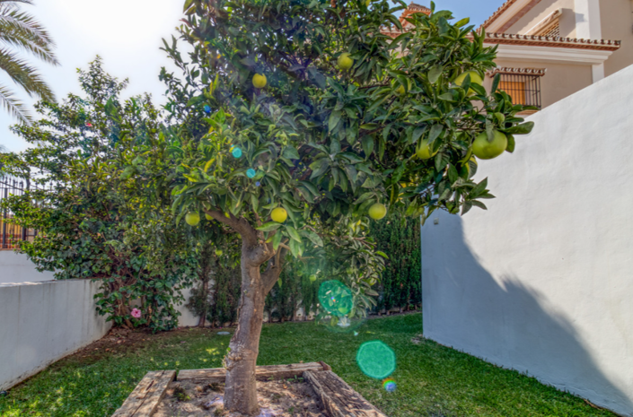 Image No.30-4 Bed Villa for sale