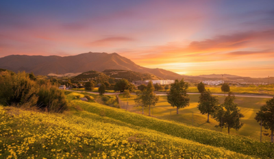 b98le8d7m9k3degpefzhs0lif8u4xzvzhwxtmggyekxx9