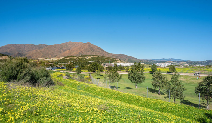 Image No.13-3 Bed Villa for sale