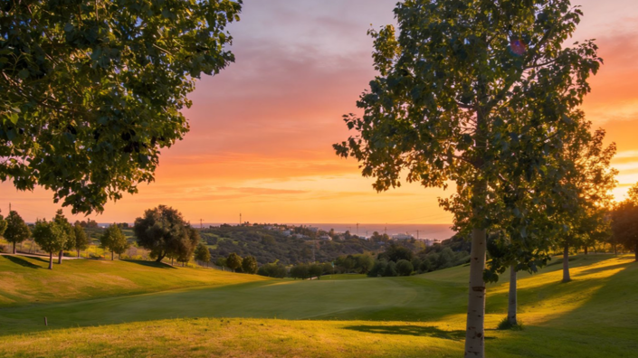 Image No.14-3 Bed Villa for sale