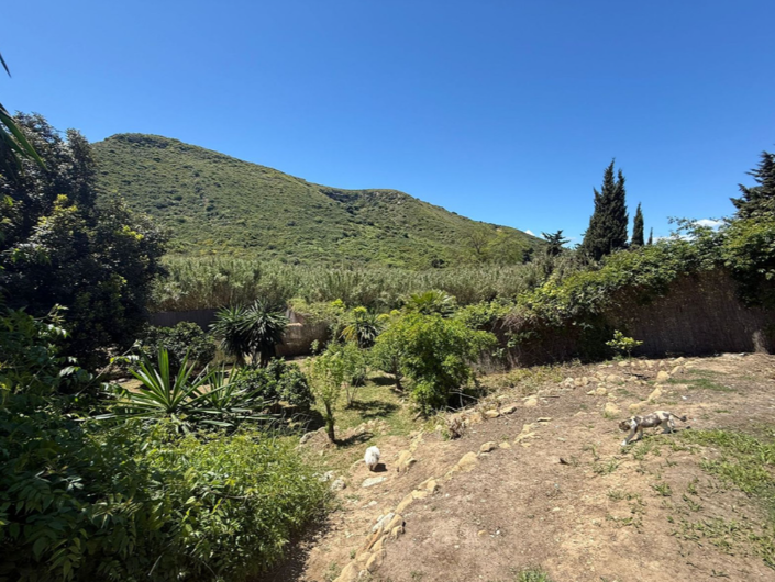 Image No.40-3 Bed Villa for sale