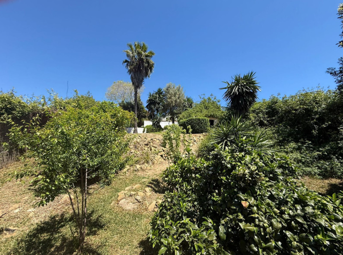 Image No.50-3 Bed Villa for sale