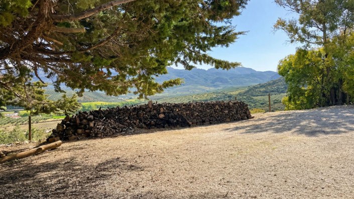 Image No.14-9 Bed Villa for sale