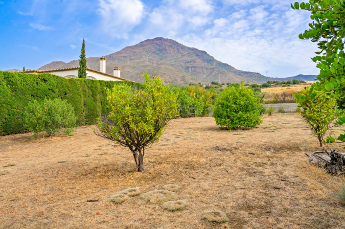 Image No.6-Villa de 4 chambres à vendre à Estepona