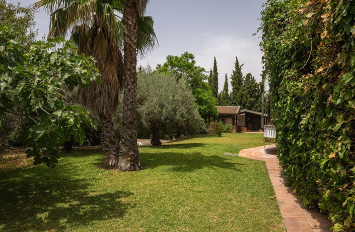 Image No.4-6 Bed Villa for sale