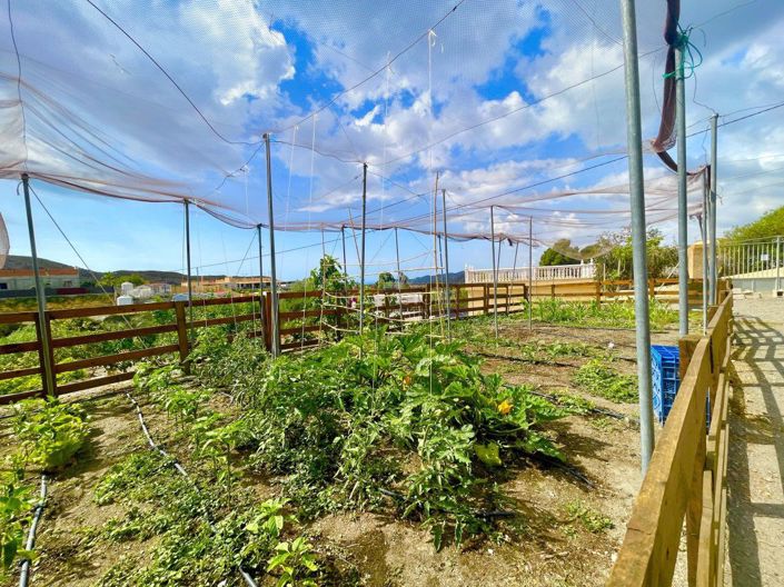 Image No.10-2 Bed Property for sale