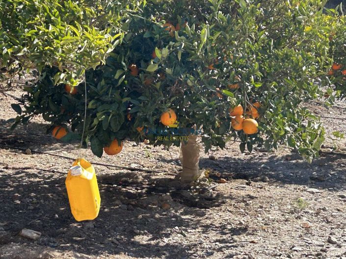 Image No.13-Propriété de 1 chambre à vendre à Águilas