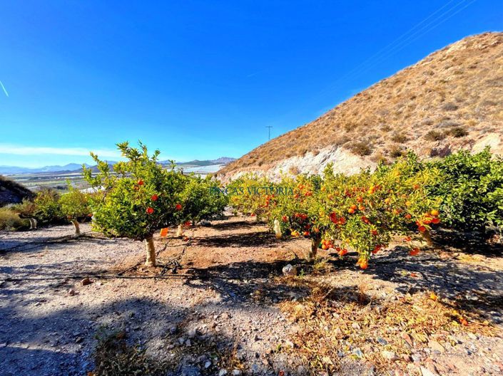 Image No.25-Propriété de 1 chambre à vendre à Águilas