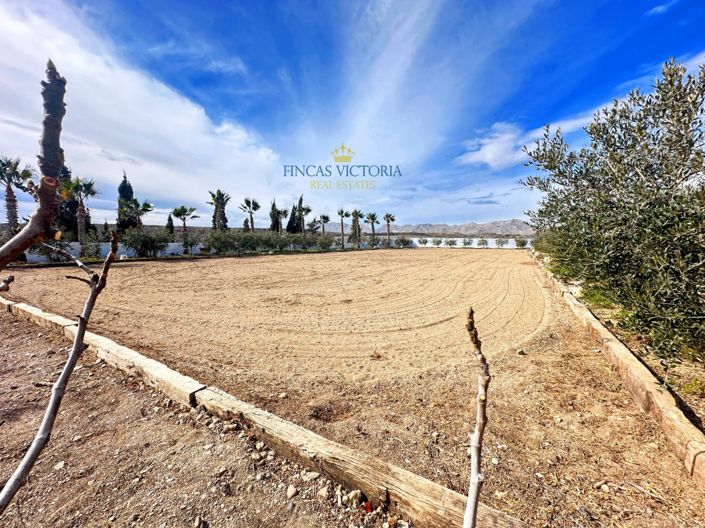 Image No.8-Propriété de 7 chambres à vendre à Águilas