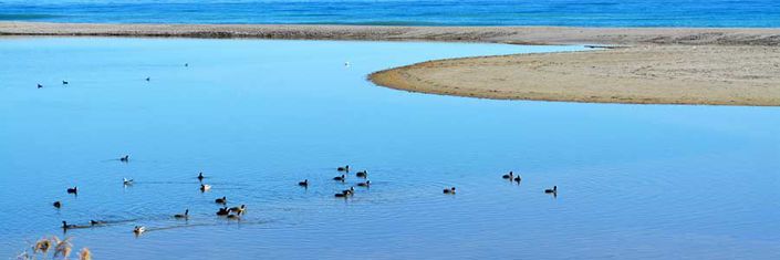 Image No.8-Jumelé de 3 chambres à vendre à Vera