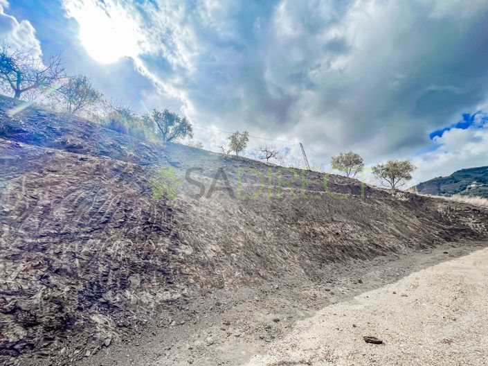 Image No.4-1 Bed Country House for sale