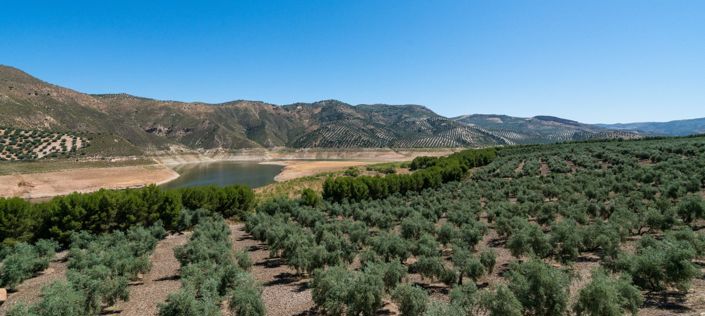 Image No.6-Villa de 6 chambres à vendre à Iznájar