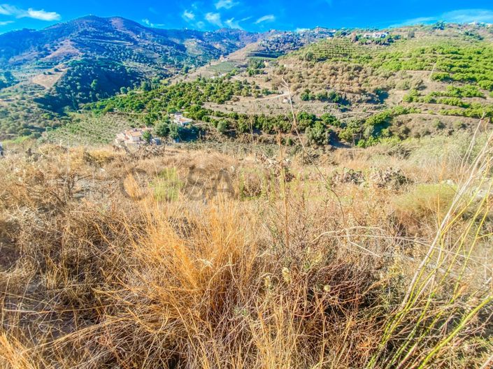 Image No.2-Terrain à vendre à Frigiliana
