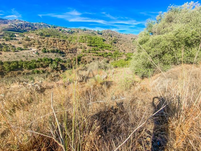 Image No.4-Terrain à vendre à Frigiliana