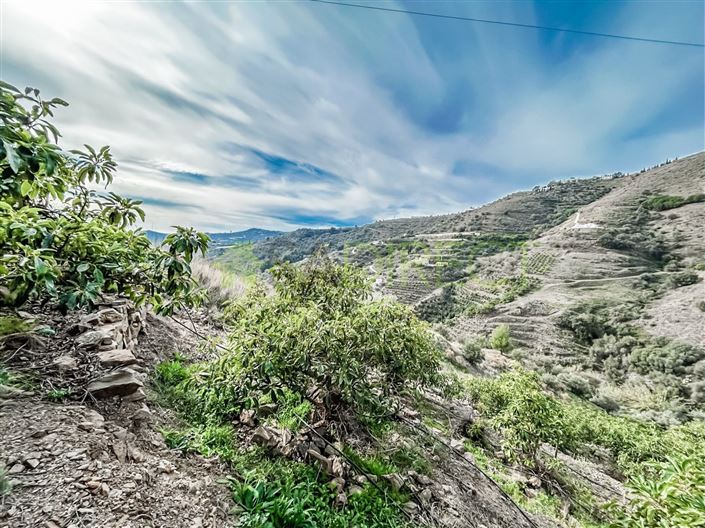 Image No.11-Plot for sale