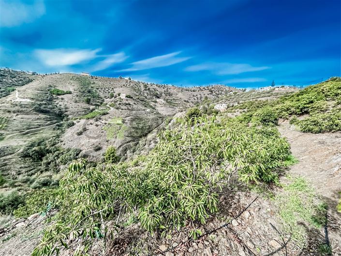 Image No.14-Plot for sale