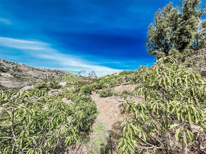 Image No.15-Plot for sale