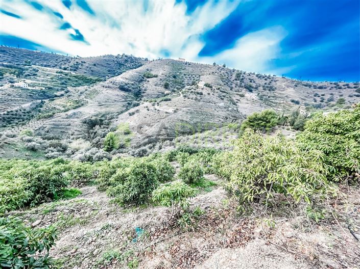 Image No.2-Plot for sale