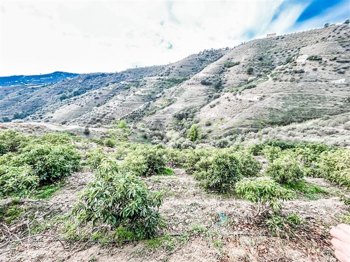 Image No.3-Plot for sale