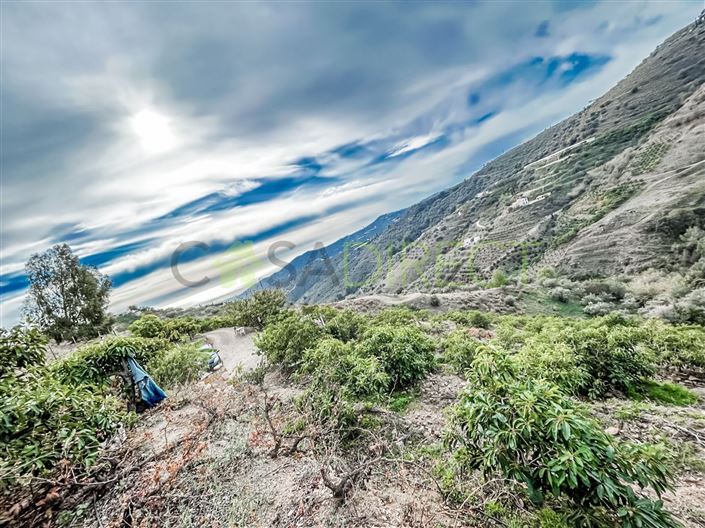 Image No.4-Plot for sale