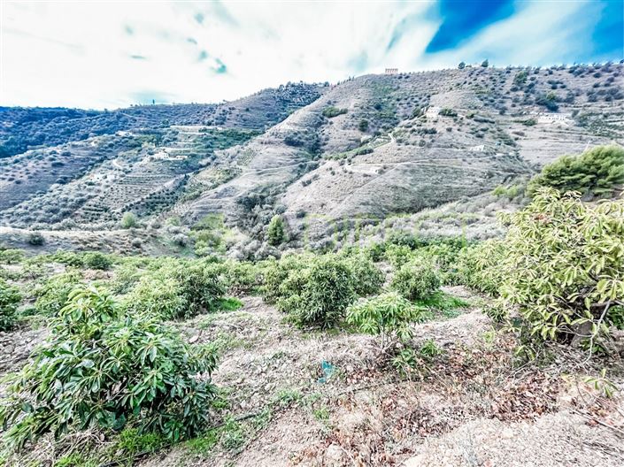 Image No.5-Plot for sale