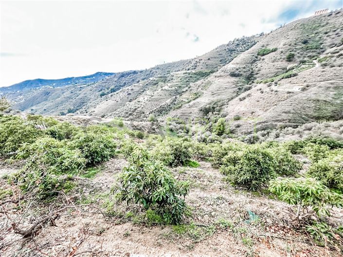 Image No.6-Plot for sale