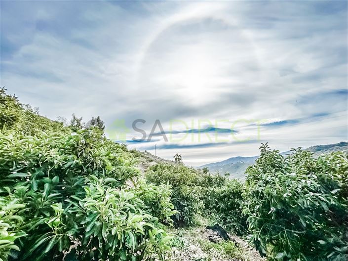 Image No.8-Plot for sale