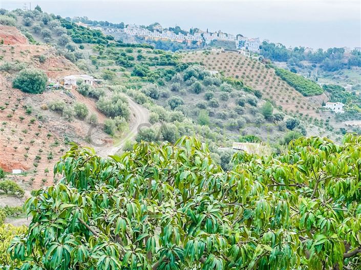 Image No.4-1 Bed Villa for sale