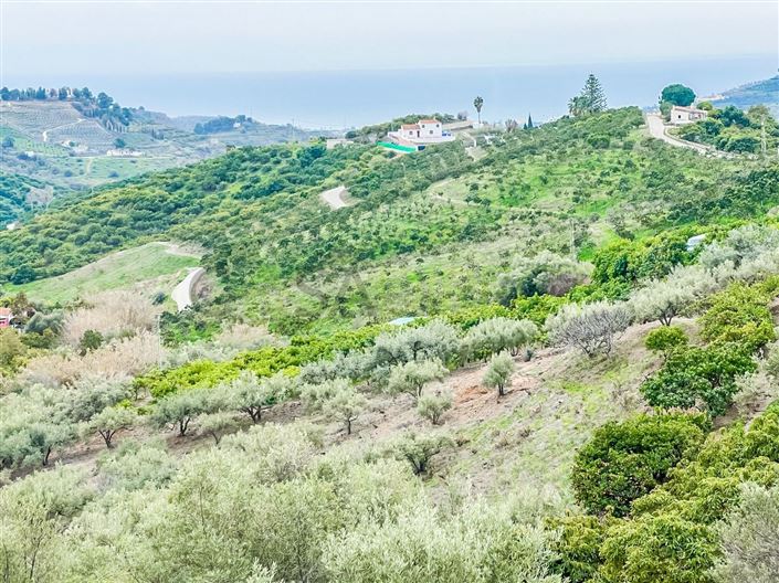 Image No.8-1 Bed Villa for sale