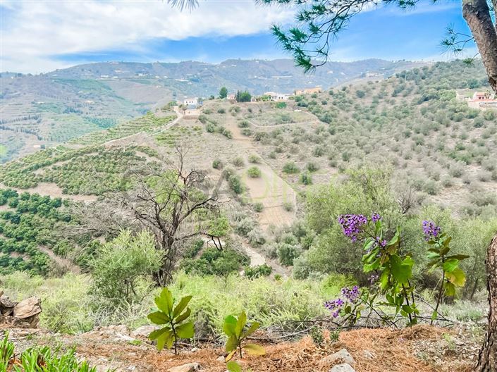 Image No.9-1 Bed Villa for sale