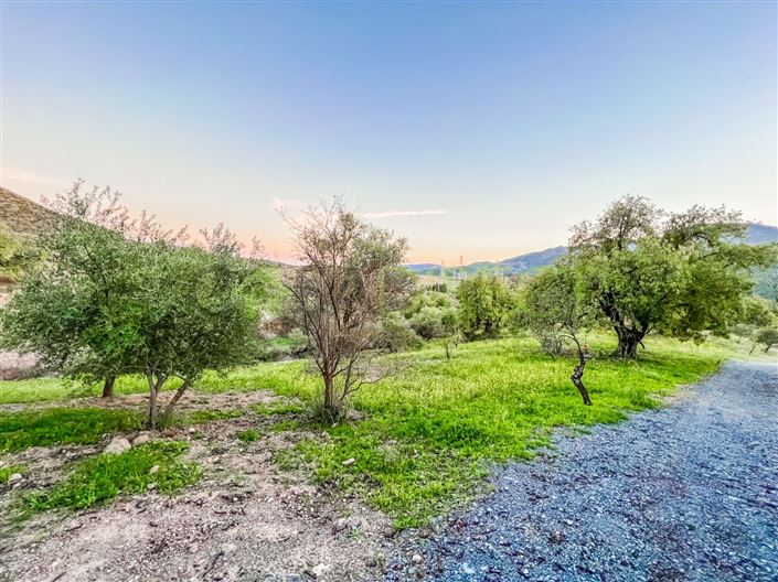 Image No.37-2 Bed Country House for sale