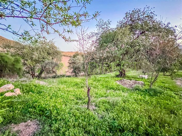 Image No.5-2 Bed Country House for sale