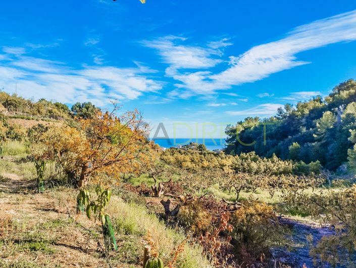 Image No.11-Terrain à vendre à Frigiliana