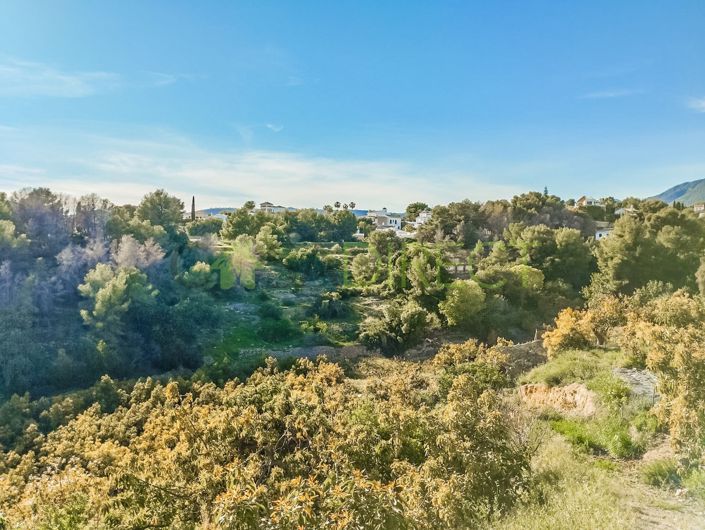 Image No.12-Terrain à vendre à Frigiliana