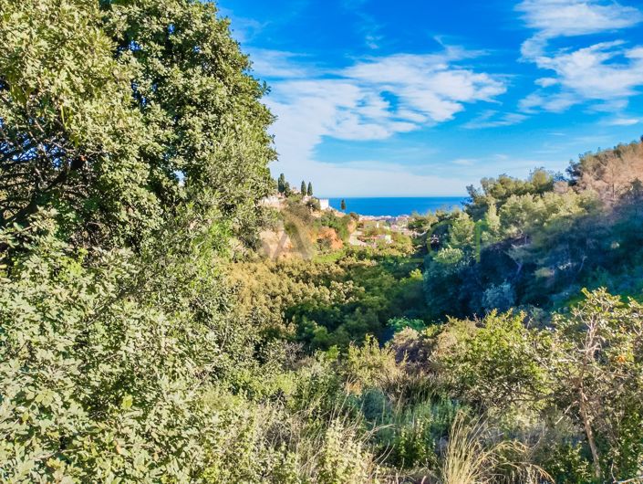 Image No.2-Terrain à vendre à Frigiliana